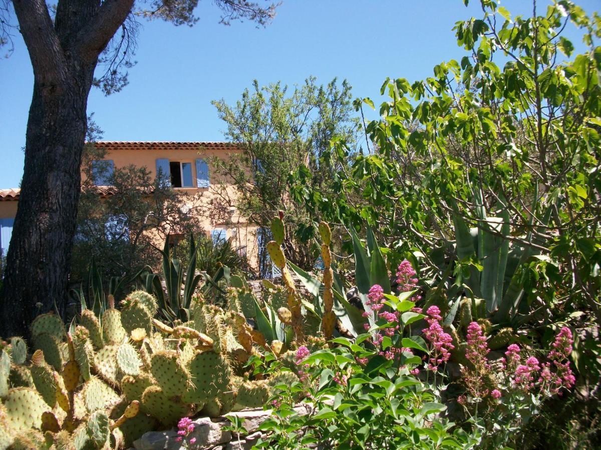 Bed and Breakfast Les Chardons Bleus Lorgues Exterior foto