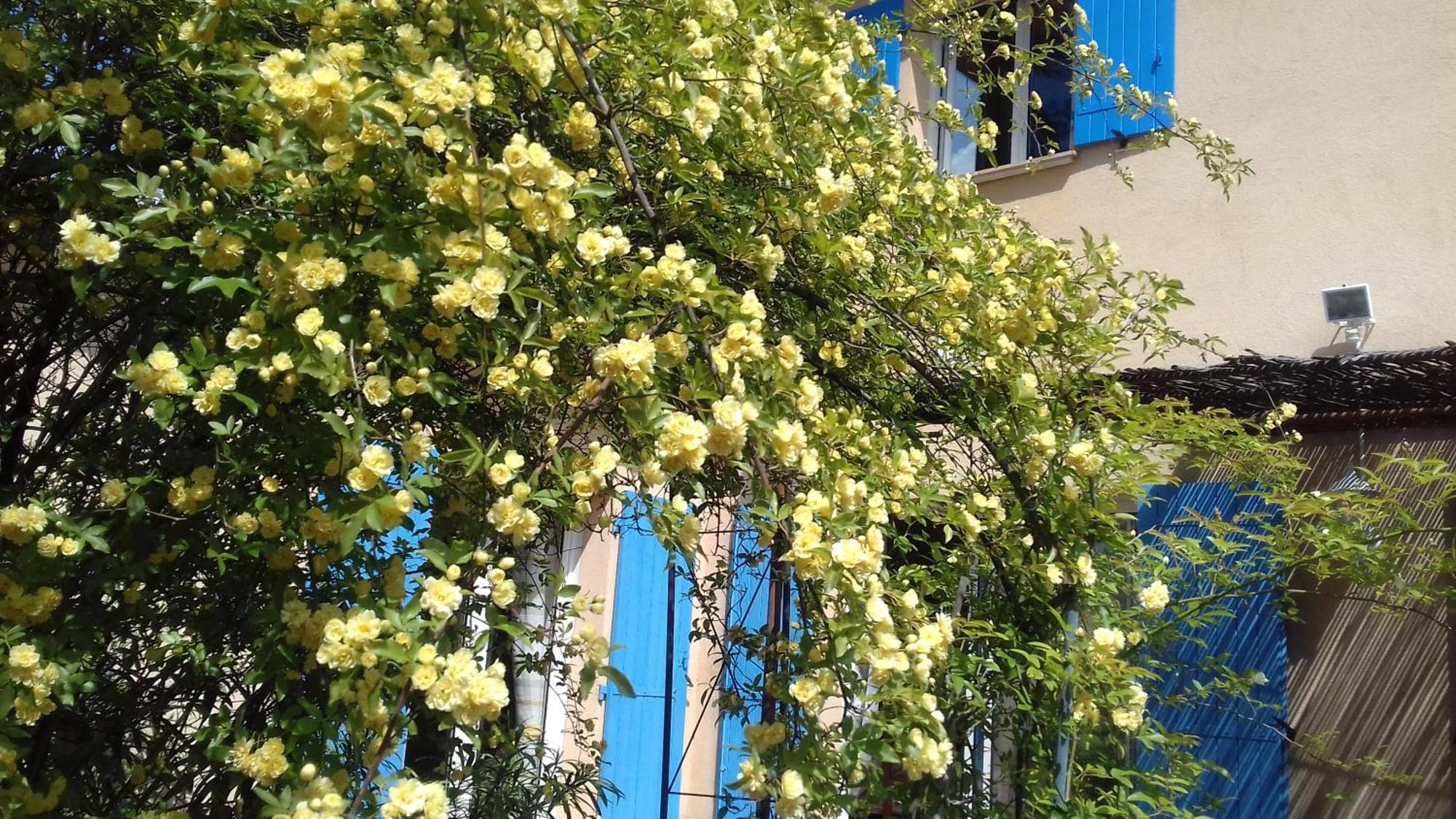 Bed and Breakfast Les Chardons Bleus Lorgues Exterior foto